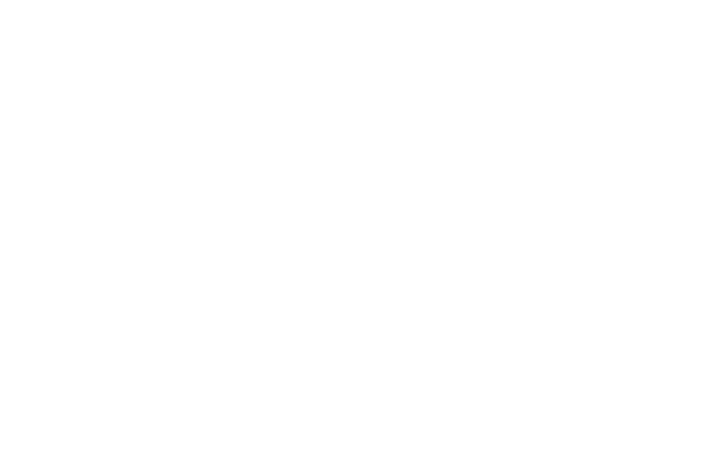 veterans veterans